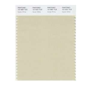 PANTONE SMART 13 1007X Color Swatch Card, Oyster White  