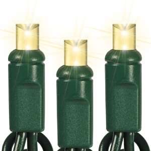   24 ft.   Bulb Spacing 4 in.   120V   Green Wire 