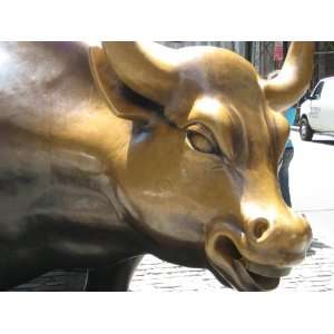  Wall Street Bull