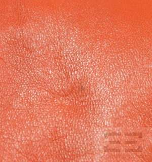 Siena Studio Orange Leather Zip Front Belted Jacket Size Medium  