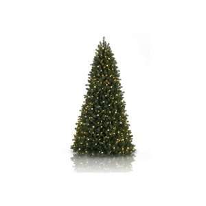  On Sale 6.5 Augusta Instant Evergreen Tree with Unlit 