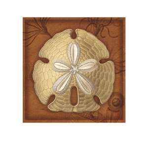  Sand Dollar by Lisa Steinkamp, 24x24