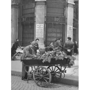  Vendors of Lily of Valley Are Stationed Around Place de La 