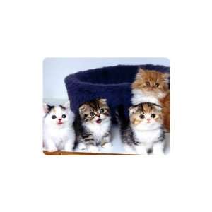  Brand New Cat Mouse Pad Kittens 