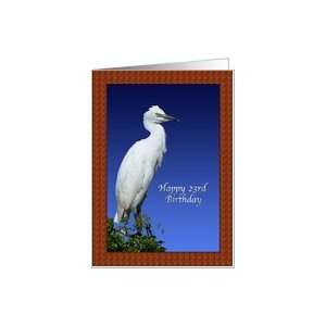  23rd Birthday Card with Immature Cattle Egret Card Toys & Games