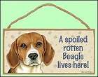 spoiled rotten beagle 10 x 5 lives here dog sign $ 6 95 