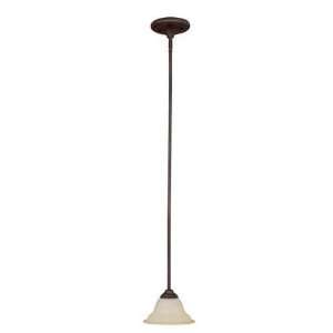  Capital Lighting 3070BB 292 Chandler   One Light Mini 