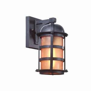  Aspen Collection 11 1/4 High Outdoor Wall Light