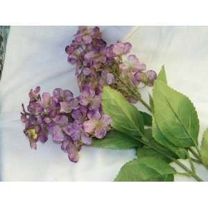  SIlk Lilac Crepe Crape Myrtle Blooms Bloom Stem Purple 