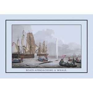  Boat Approaching a Whale   Paper Poster (18.75 x 28.5 