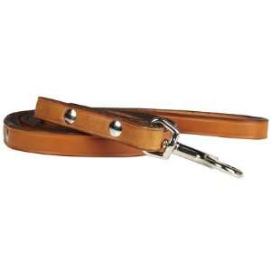  Auburn Town Leash   Tan   1/2x48 (Quantity of 2) Health 