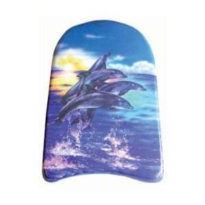  Leader Dolphin Print Kick Board