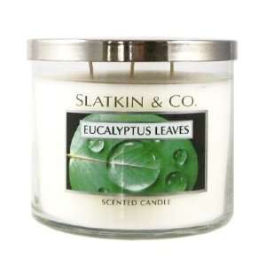  Bath and Body Works Slatkin & Co. EUCALYPTUS LEAVES 