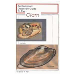  Dissection Guide to the Clam 