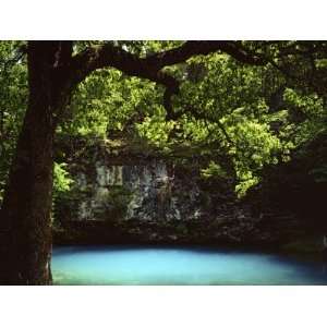 White Oak above Blue Spring, Ozark National Scenic Riverways, Missouri 