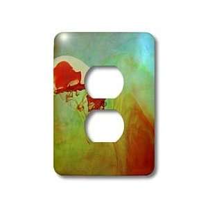  Florene Contemporary   Cliffhanger   Light Switch Covers 
