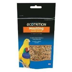     Moulting   Canary & Finch (Quantity of 4)