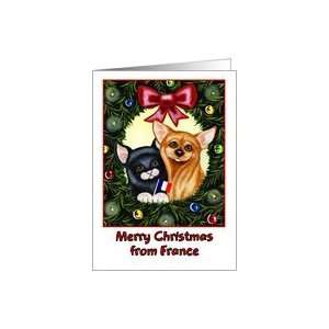   Christmas from France, kitty cat and Chihuahua in holiday wreath Card