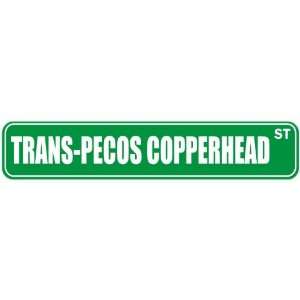   TRANS PECOS COPPERHEAD ST  STREET SIGN