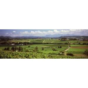  View of Vineyards, Penedes, Catalonia, Spain by Panoramic 