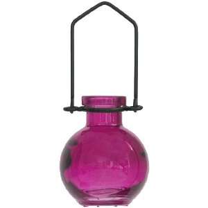  Hanging Flower or Rooting Bottle, Recycled Glass   3.4oz 