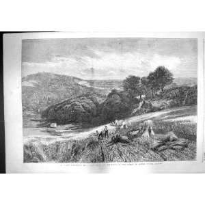  1861 SURREY CORN FIELD AGRICULTURE FARMING COLE PRINT 