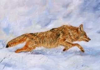 COYOTE Superb DAVID STRIBBLING Oil Painting  