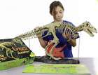 REX TREX Skeleton Dinosaur Model Kit Science Project  