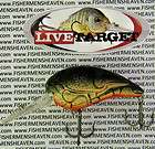   LIVE TARGET Lures Crankbait   C64M302   FAT CRAWDAD   Crawfish BLACK