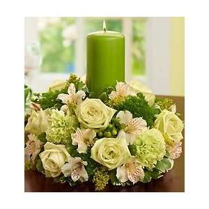  Flowers by 1800Flowers   Celebration Centerpiece   Large 