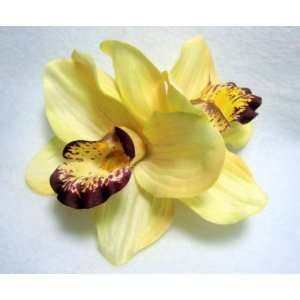    Yellow and Maroon Cymbidium Orchid Flower Hair Clip Beauty