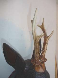 BLACK FOREST CARVED HEAD OF A ROE BUCK w/ ANTLERS  