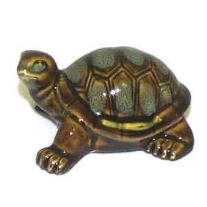  Baby Land Turtle ~ 3.5 Inches