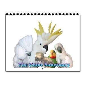  The Chloe Sanctuary 2012 Pets Wall Calendar by  