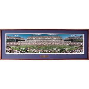 NFL Baltimore Ravens Stadium, 34 Yard Line Panoramic Print Deluxe 