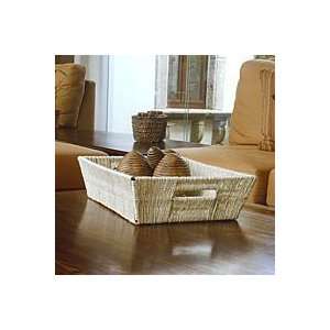  NOVICA Wrought iron and maguey basket, Weavers