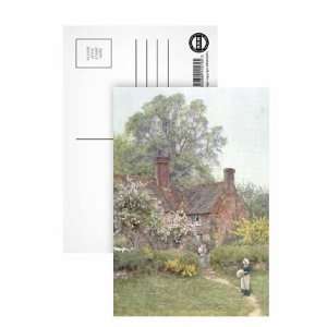  Cottage at Chiddingfold by Helen Allingham   Postcard 