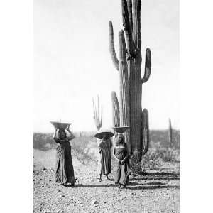  Saguaro Gatherers 20x30 poster