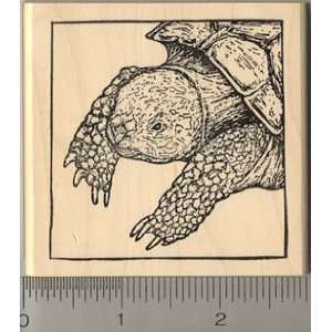  Large Russian Tortoise Rubber Stamp Arts, Crafts & Sewing