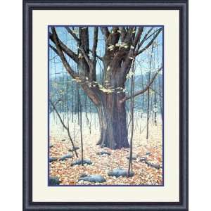  Old Oak by Helen Rundell   Framed Artwork
