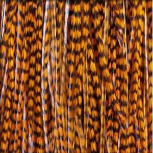  7   12 Inch Orange Feather Hair Extensions   4 Pack   From 