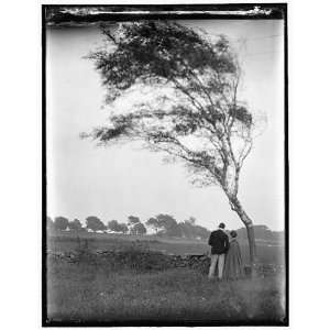  W. Mason Turner,Hermine Kasebier,Newport,RI,Under Tree 