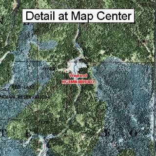  USGS Topographic Quadrangle Map   Wayland, Minnesota 