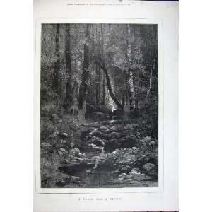   Fine Art Country River Trees Stream Montbard Print
