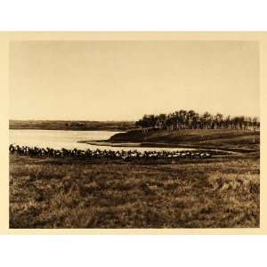  1926 Elk Herd Buffalo National Park Wainwright Alberta 