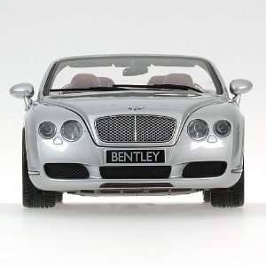   in SILVER Diecast Model Car in 118 Scale by Minichamps Toys & Games
