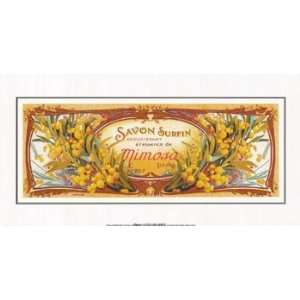  Savon Mimosas   Poster (12 x 5)