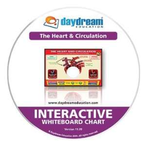  The Heart & Circulation Interactive