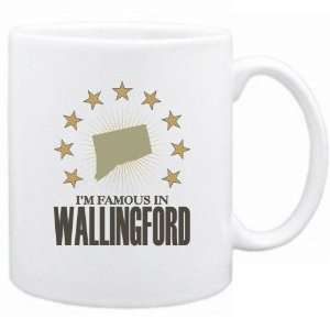   Am Famous In Wallingford  Connecticut Mug Usa City