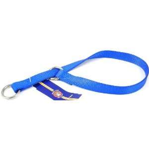 Hamilton 3/4 S/T Nylon Choke Dog Collar, Blue, 20  